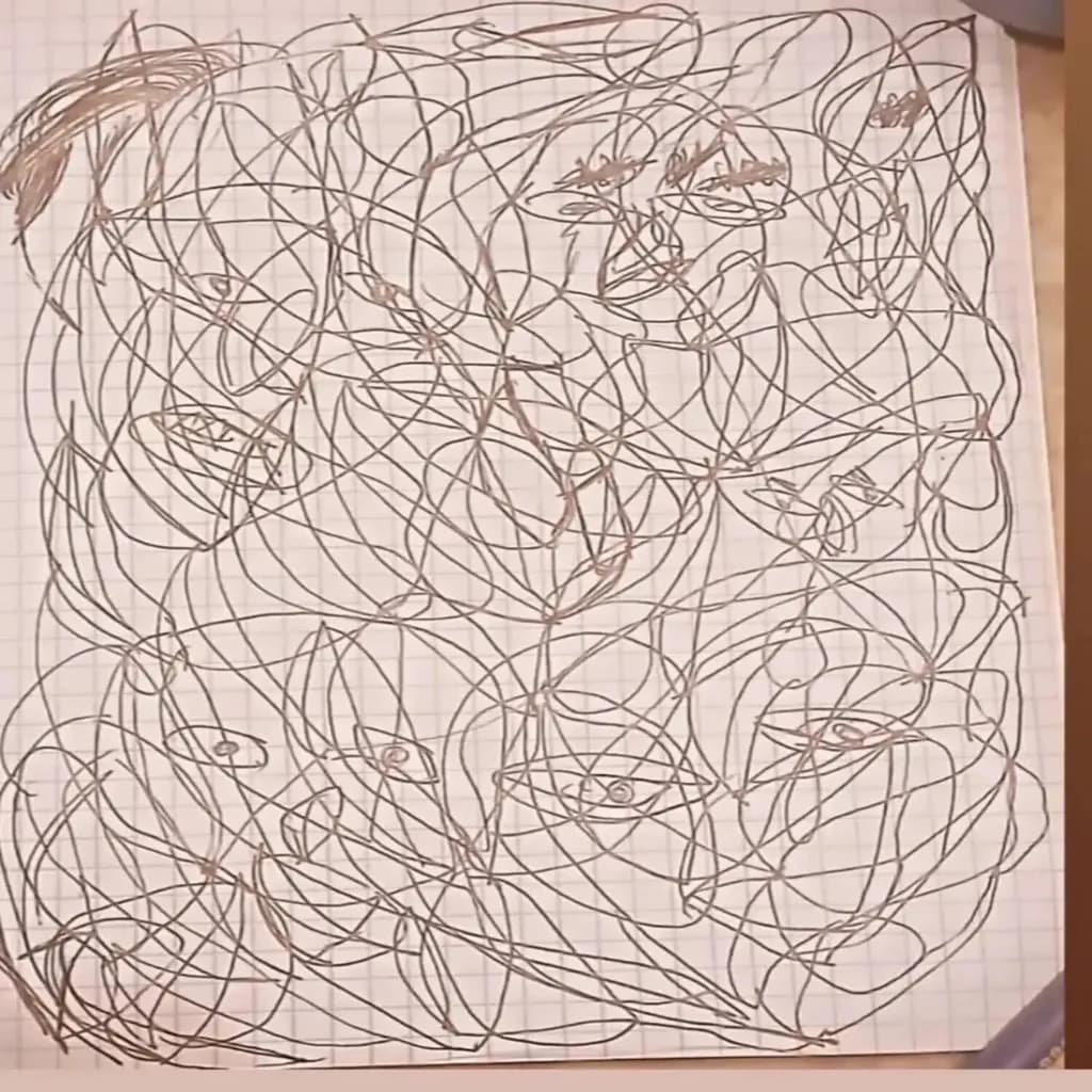 Interwoven Faces