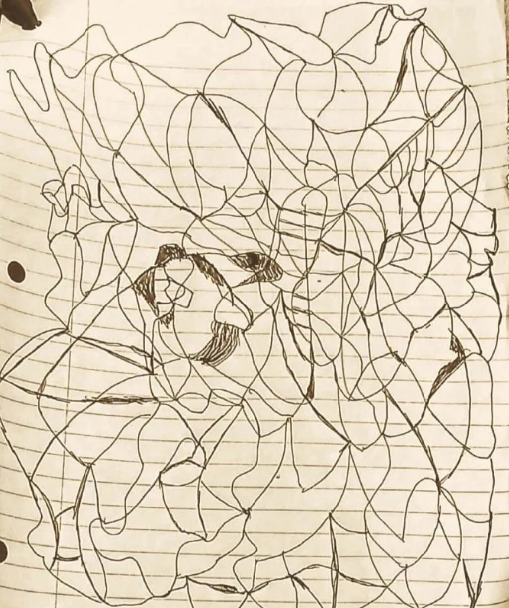 Complex Contours