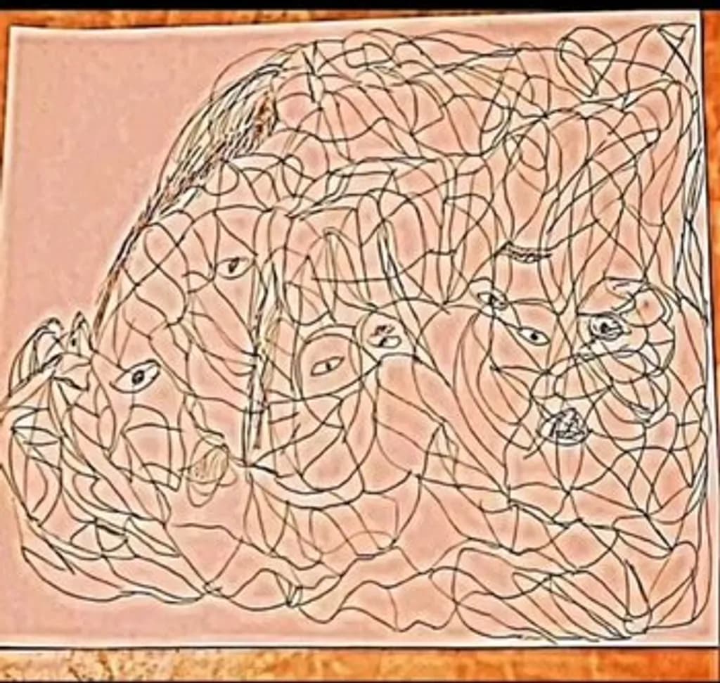 Interwoven Faces