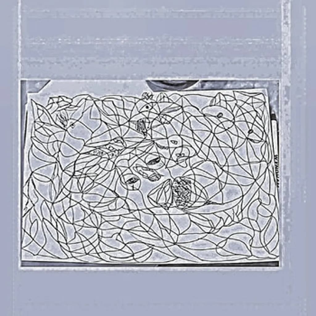 Interwoven Faces