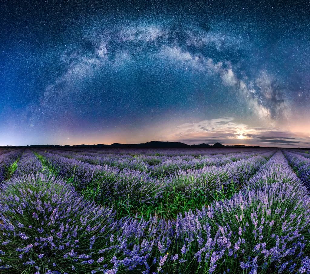 Galactic Allegory
