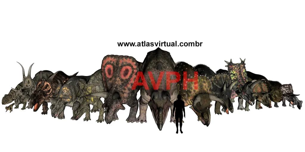 Ceratopsidae Collection