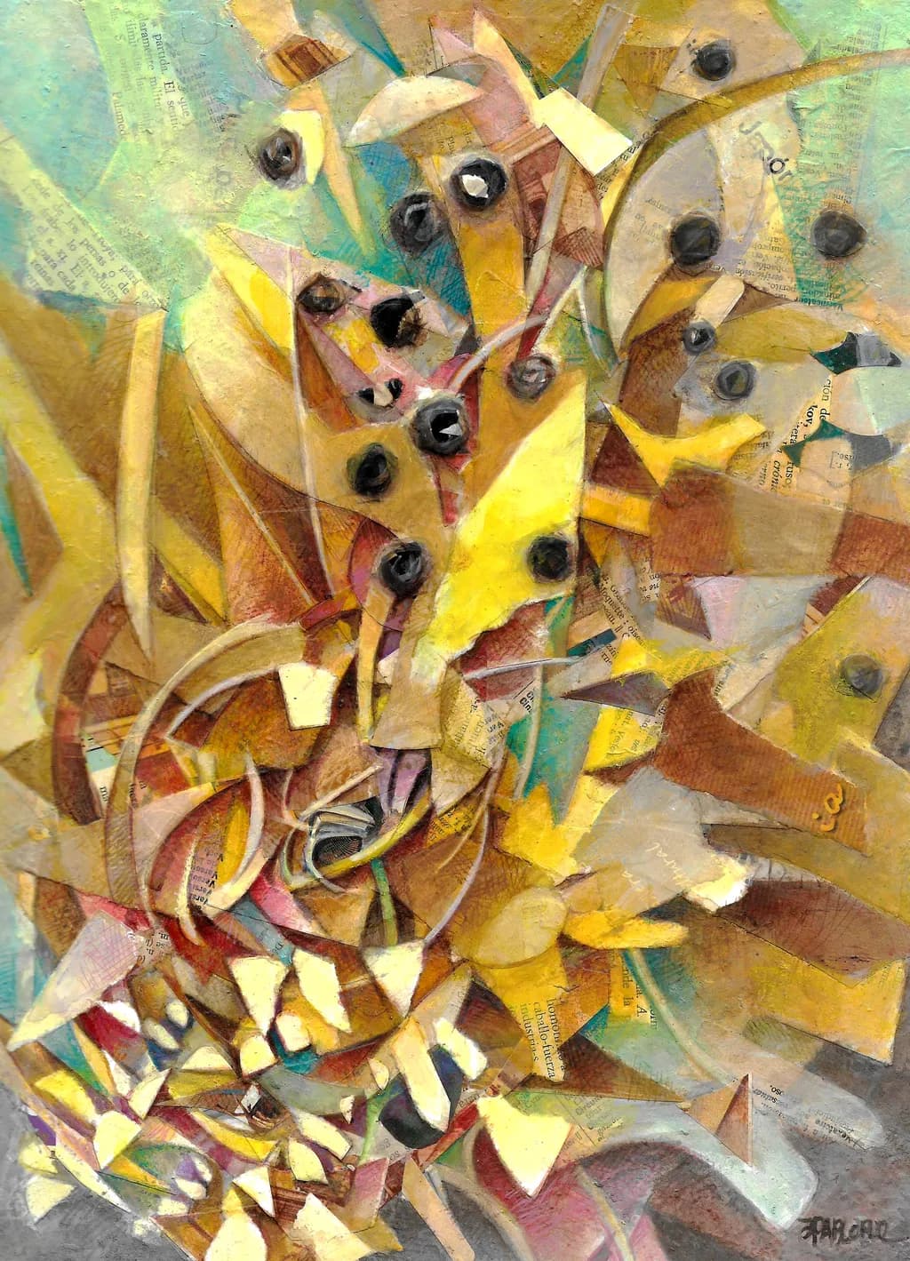 Fractured Echoes