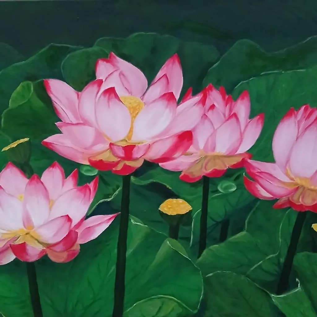 Lotus Glow