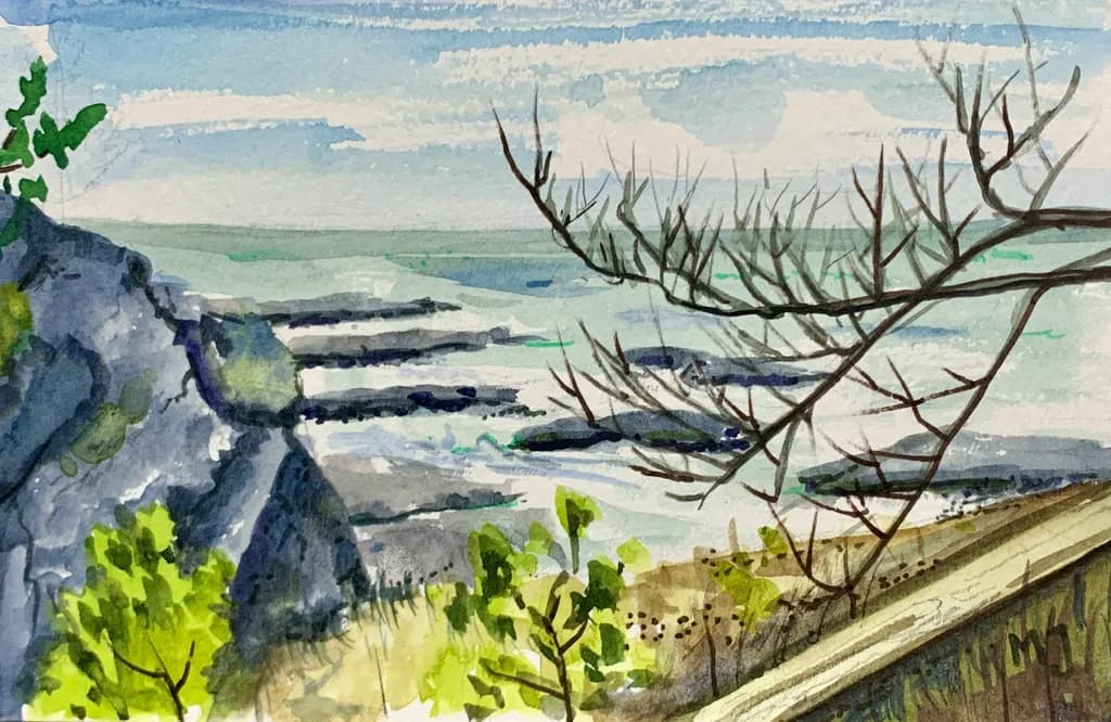Coastal View with Branches