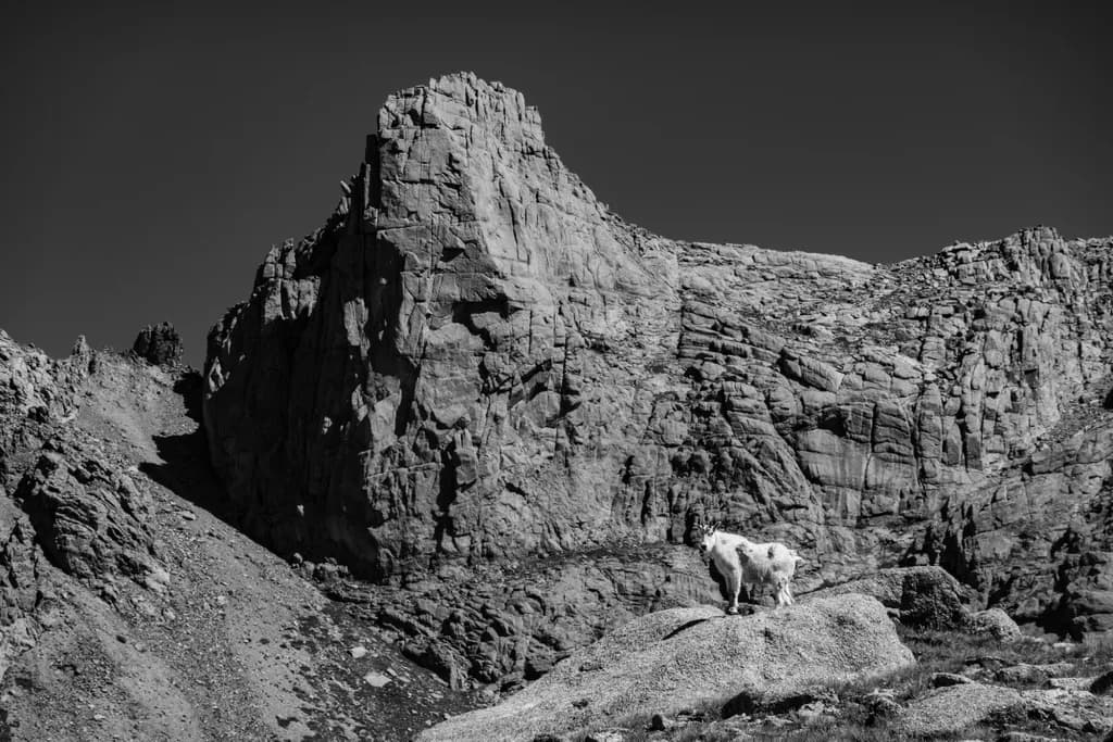 Mountain Goat Stronghold