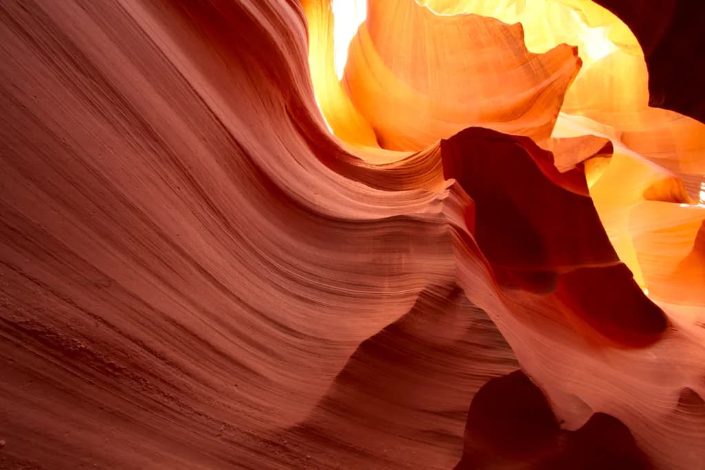Sculpted Light