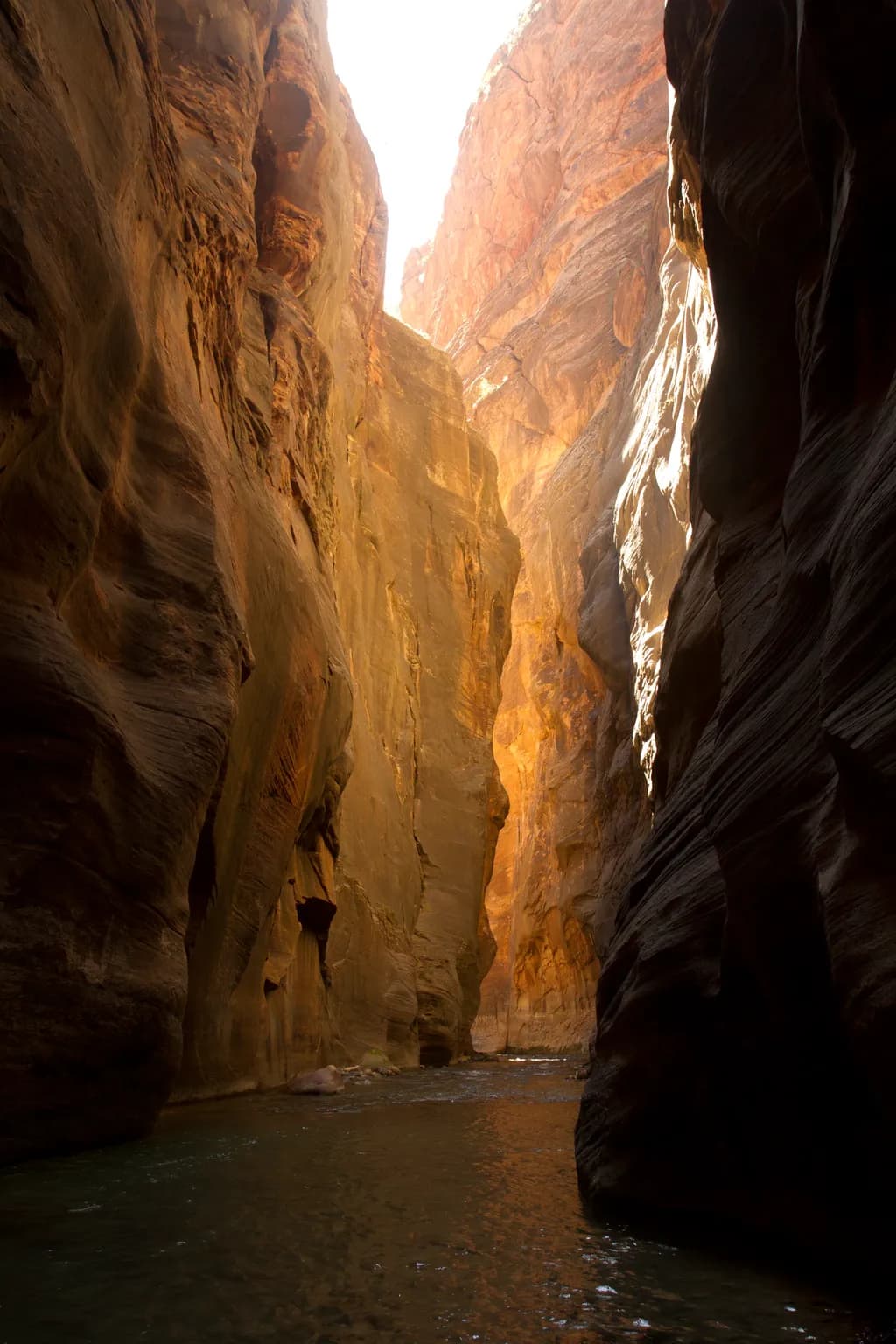 Sunlit Narrows Gorge