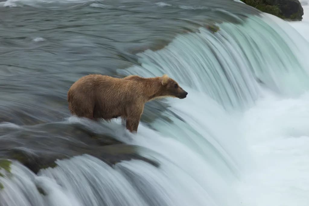 River Standstill