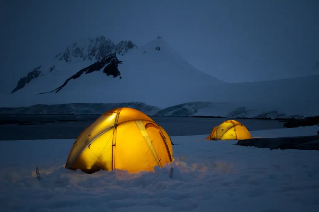 Glowing Refuge
