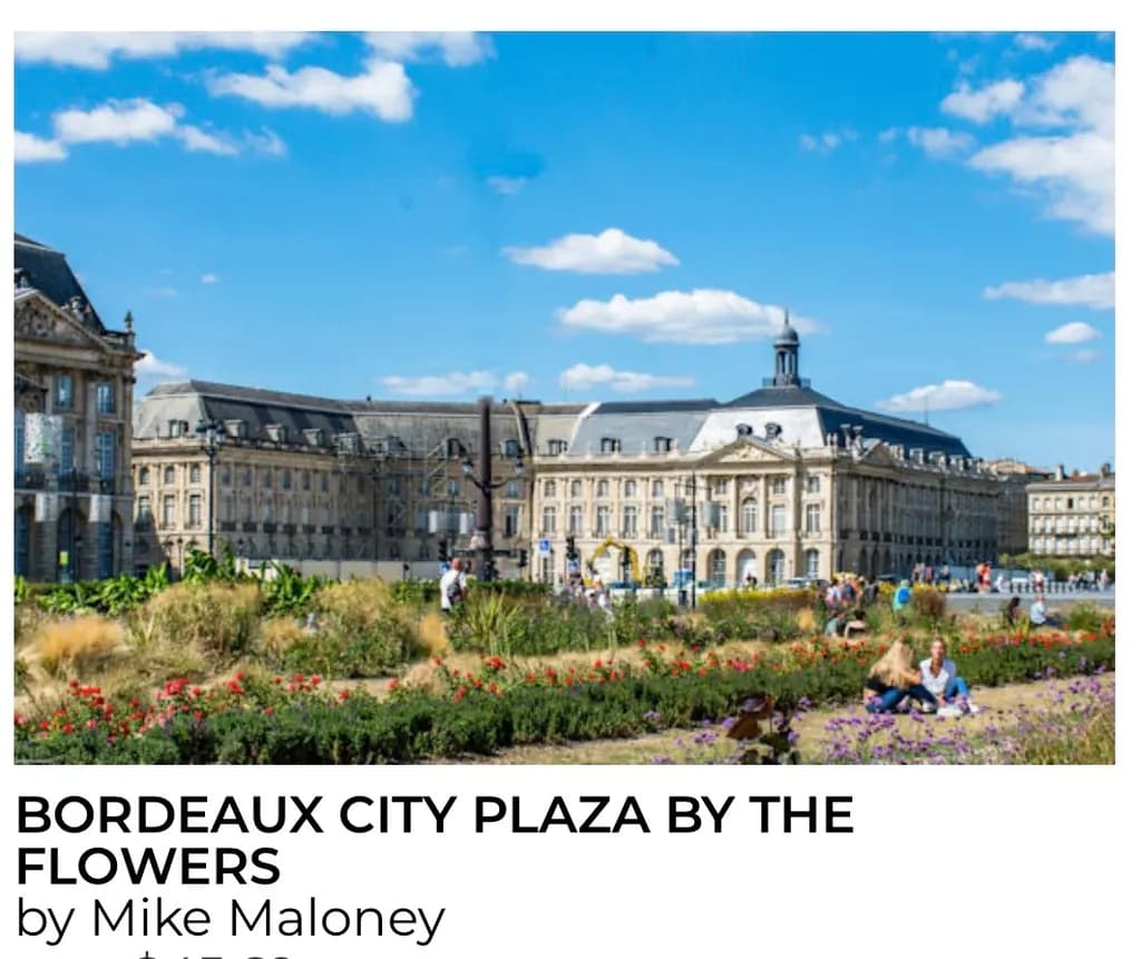 Bordeaux City Plaza Flowers