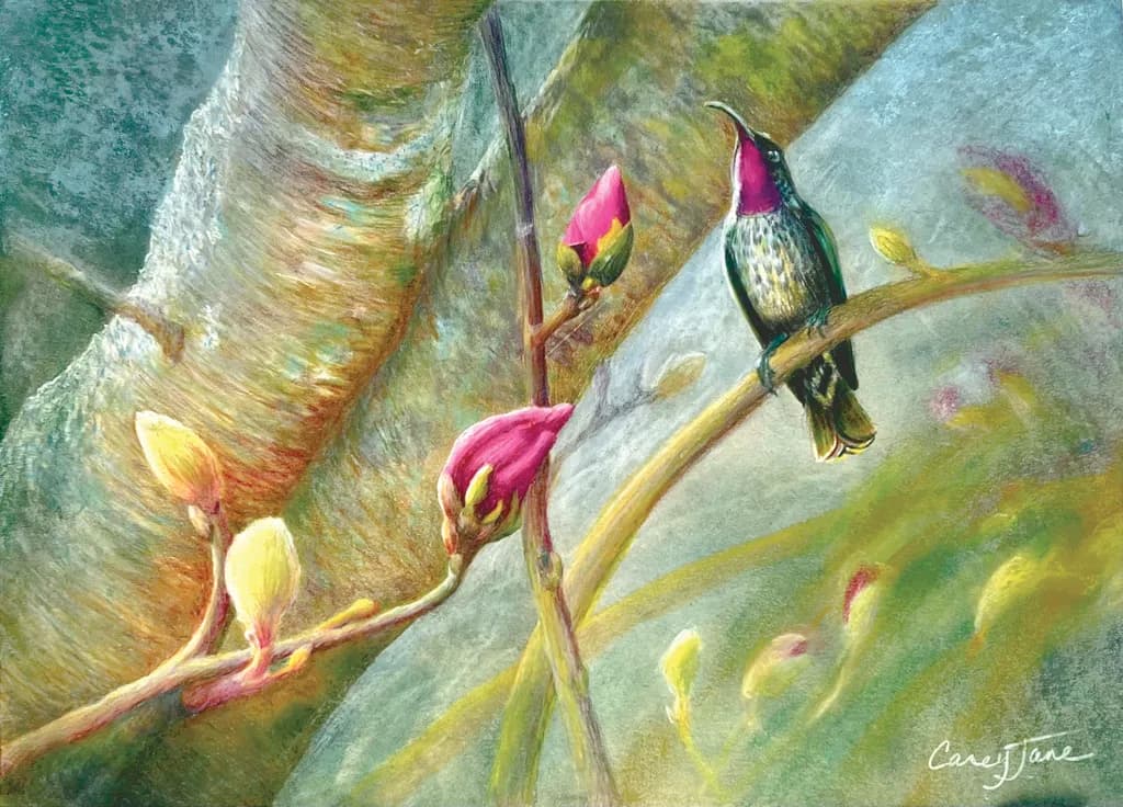 Hummingbird Bloom
