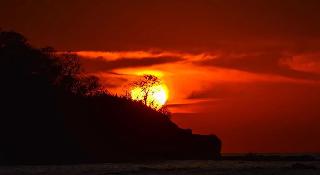 Coastal Sunset Cliffs