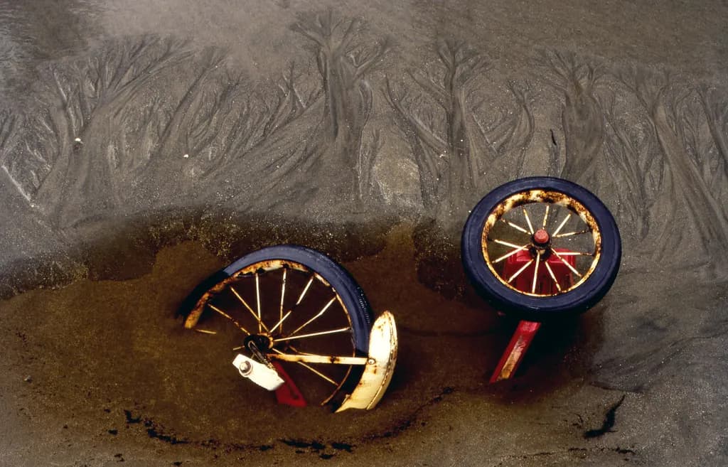 Wheels of Time: A Playful Dance Between Nature and Abandonment