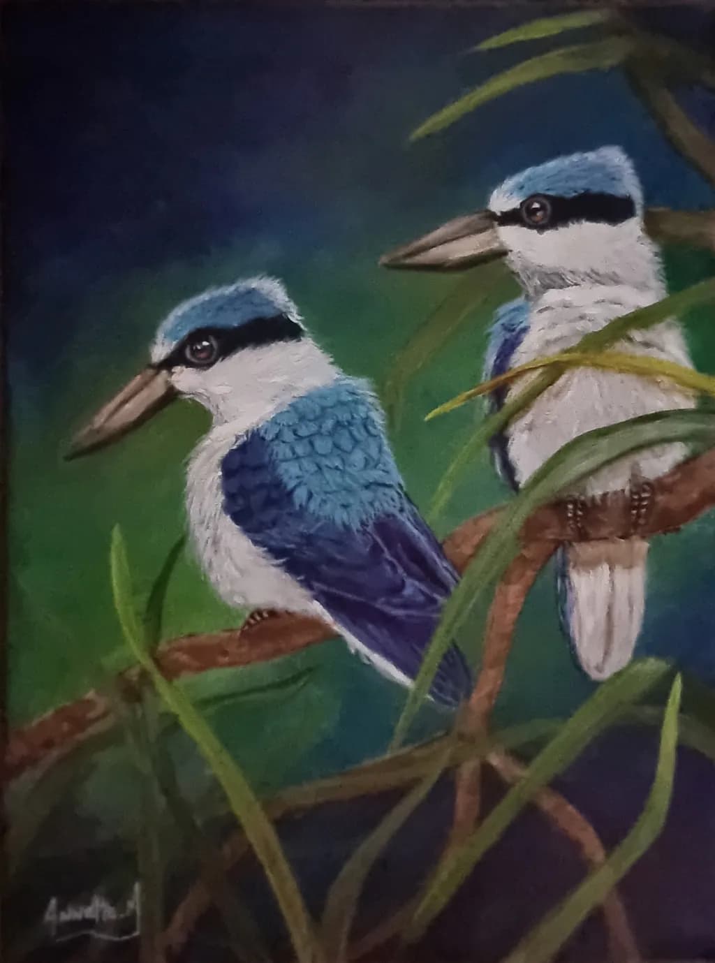 Kingfishers Perch