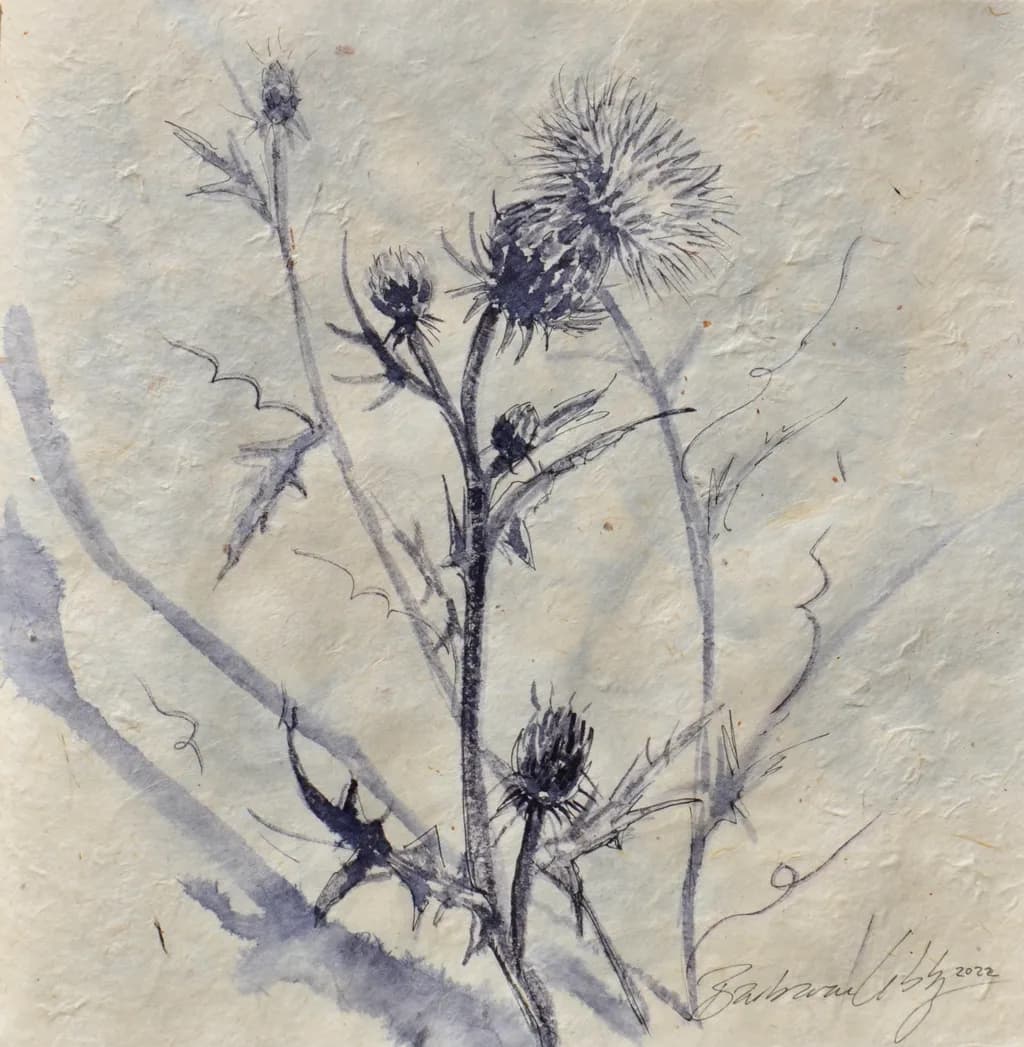 Thistle Study