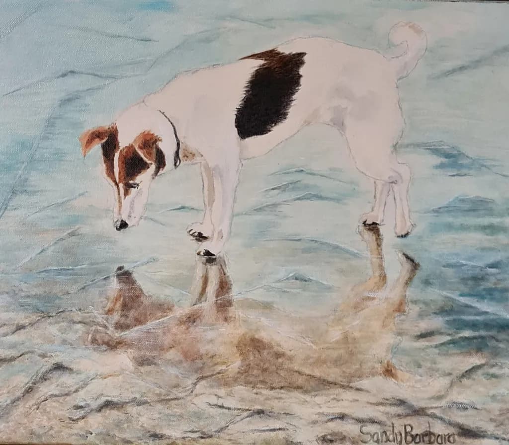 Whimsical Reflections: A Playful Pup's Water Adventure