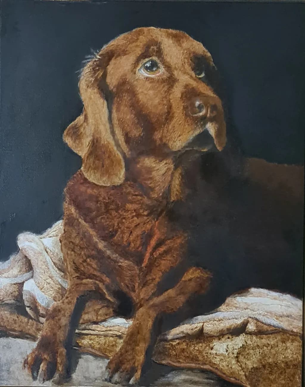 Whispers of Loyalty: A Portrait of a Beloved Companion