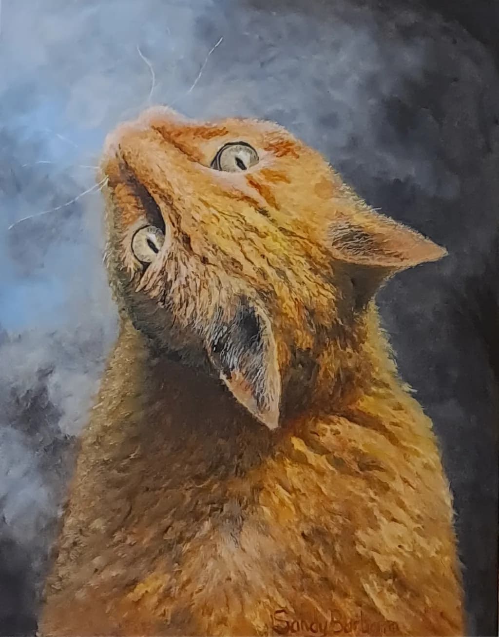 Curious Whiskers: A Portrait of an Orange Cat Gazing at the Sky