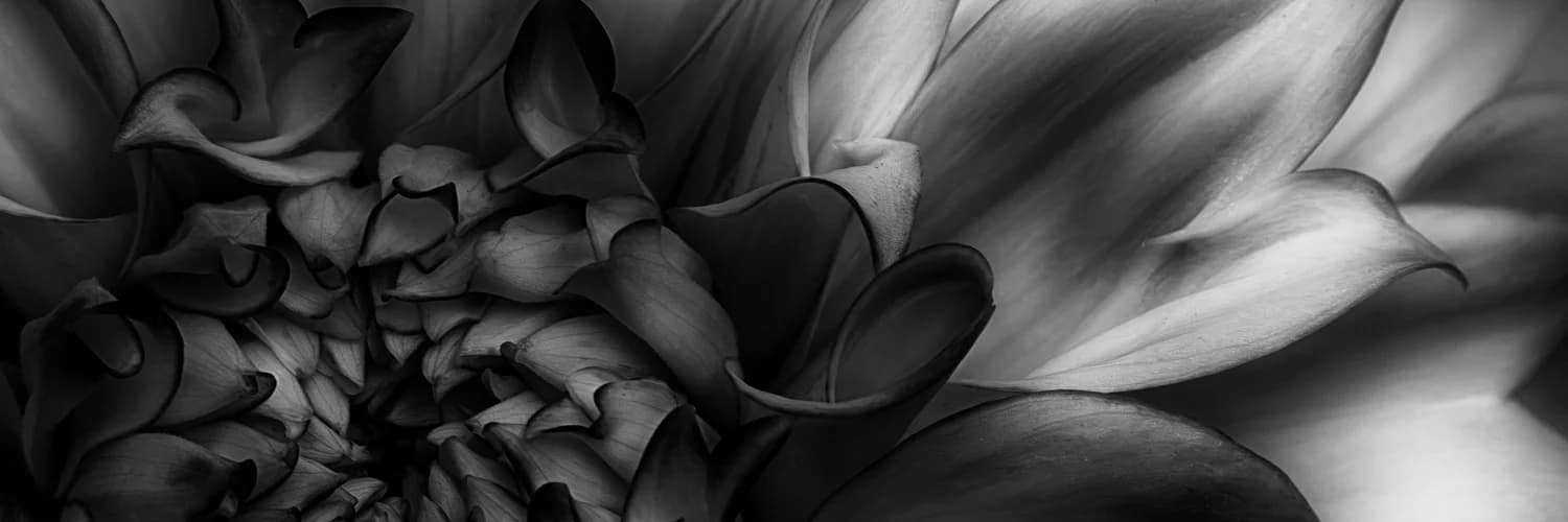 Banner do perfil