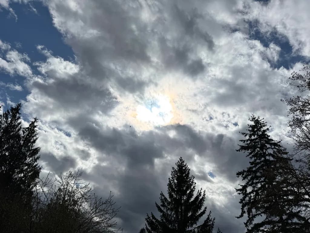 Dramatic Sky