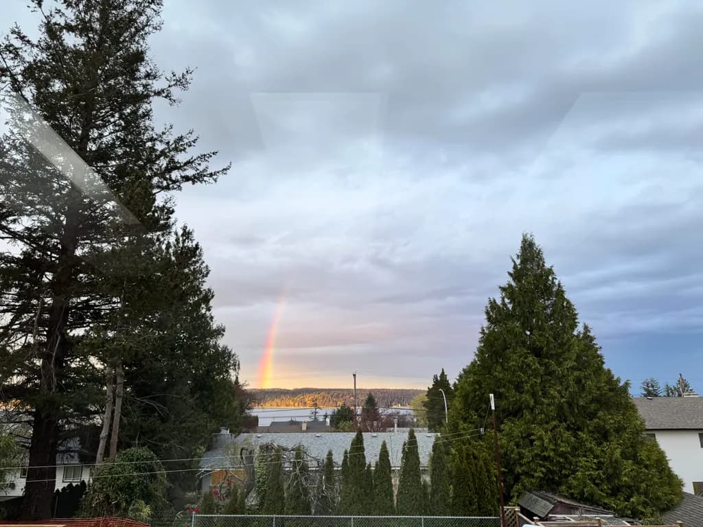 Rainbow Over Pines