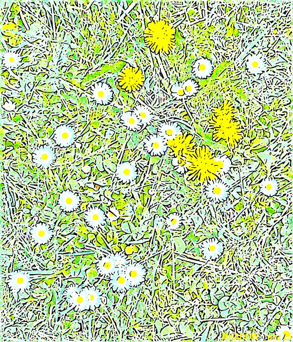 Meadow Blooms
