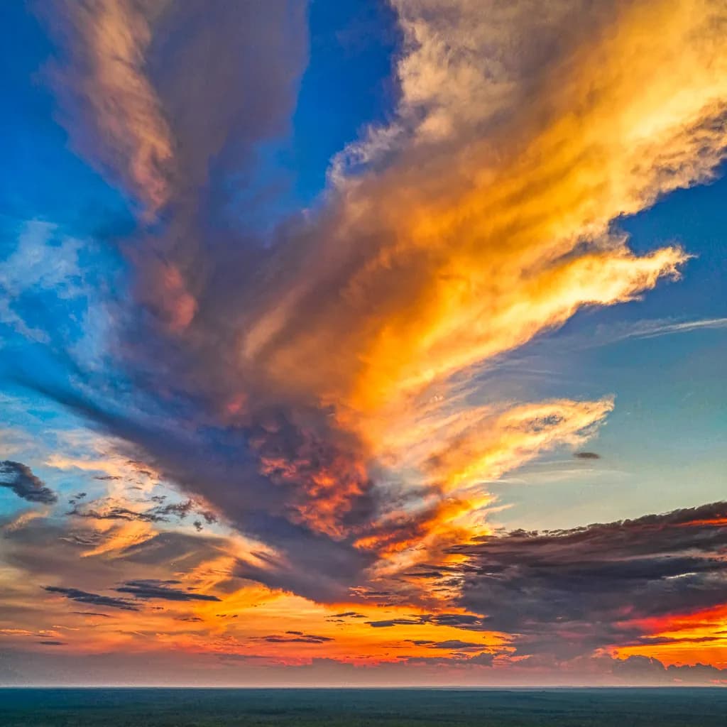 Sunset Skies