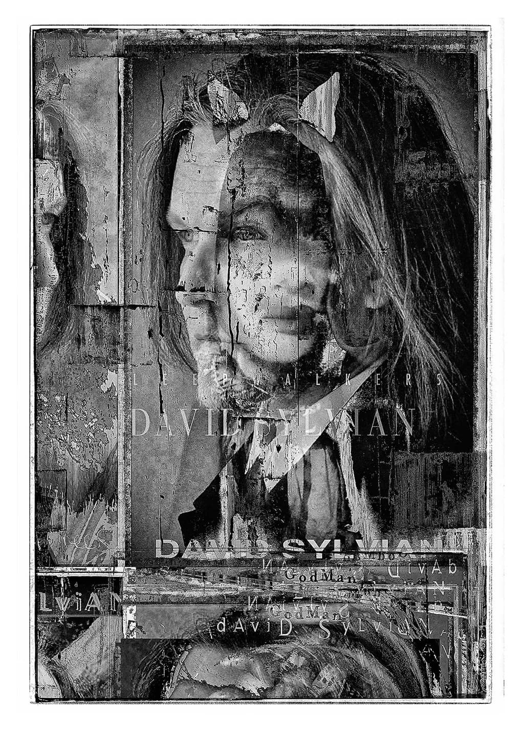 Collage Reflections
