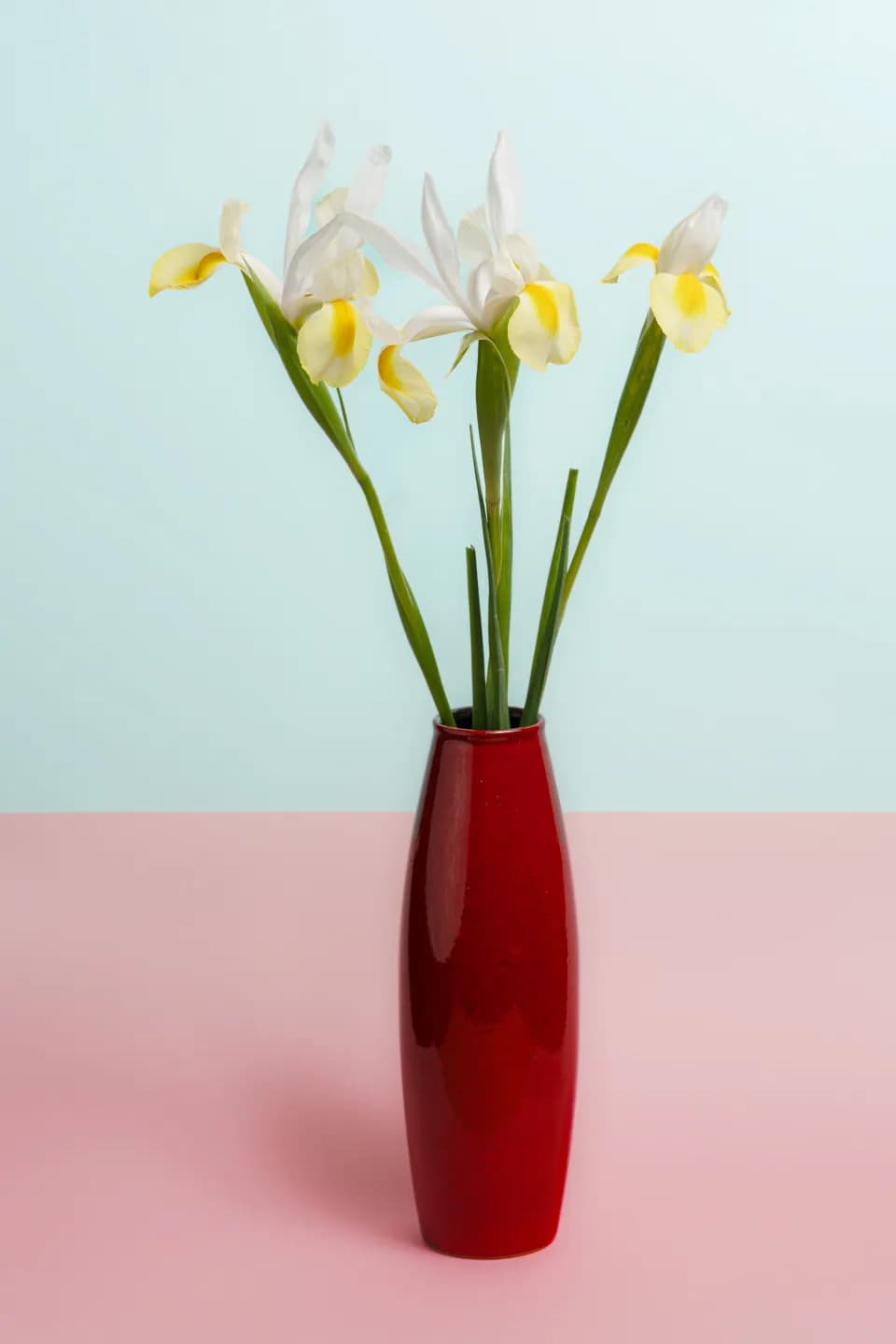 Iris Elegance