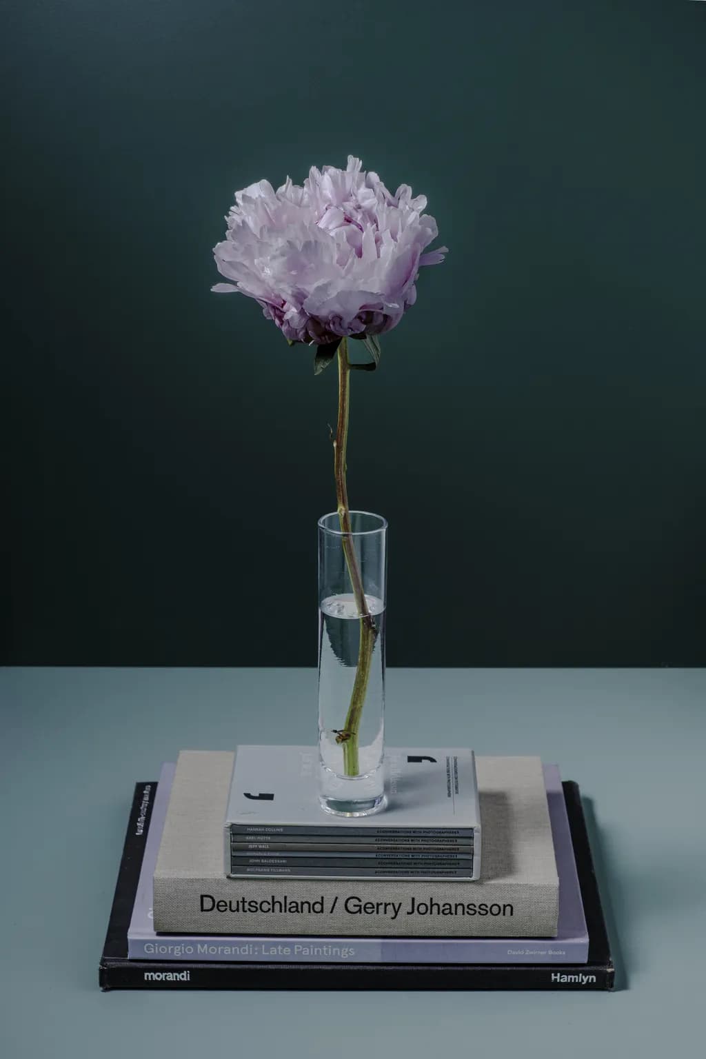 Peony Study