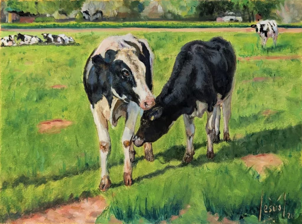 Two Cows in Pasture