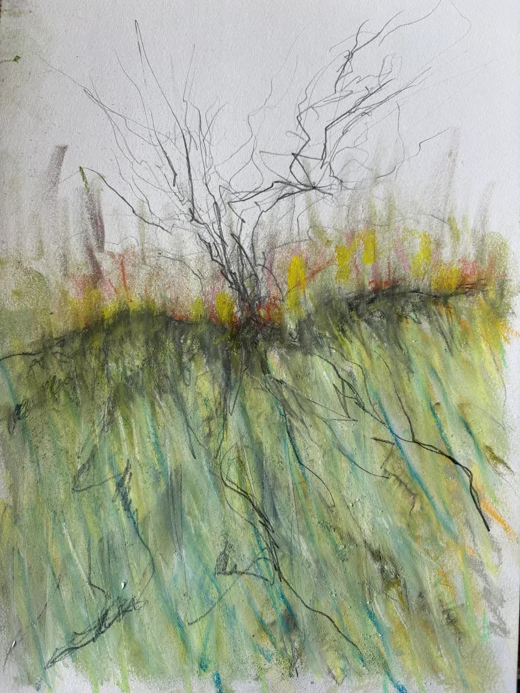 Spring Thaw