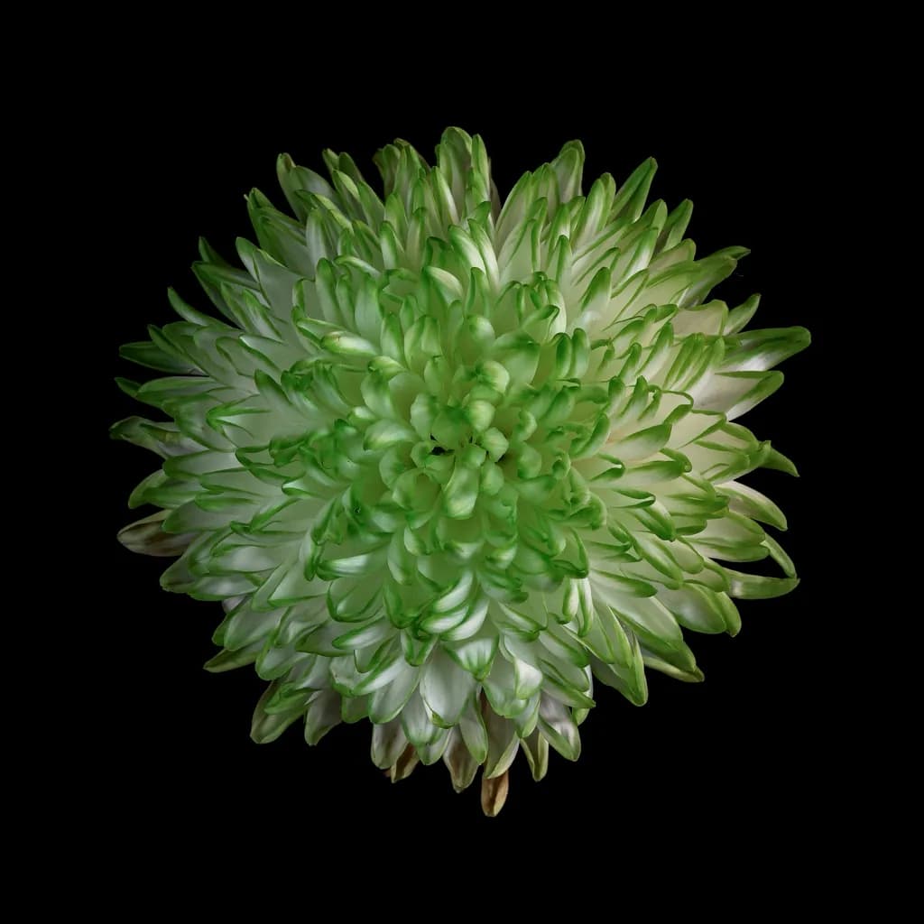 Green Blossom Burst