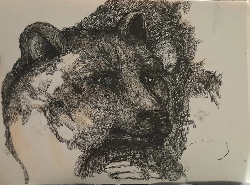 Introspective Bear