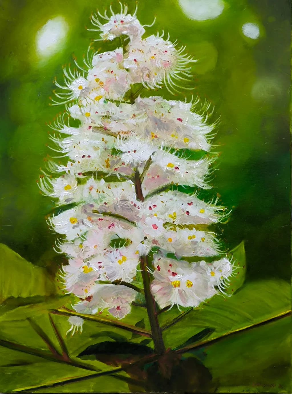 Chestnut Blossom