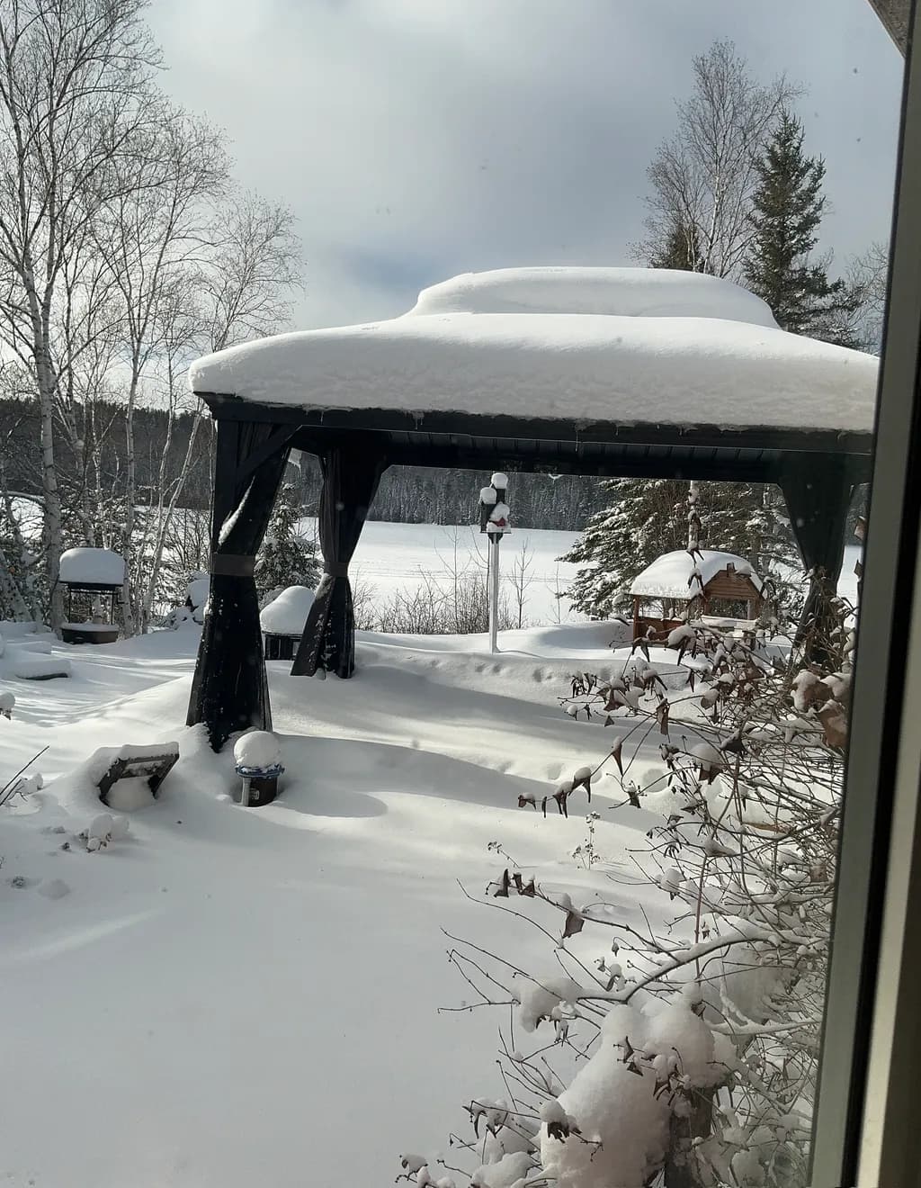 Snow-Covered Shelter