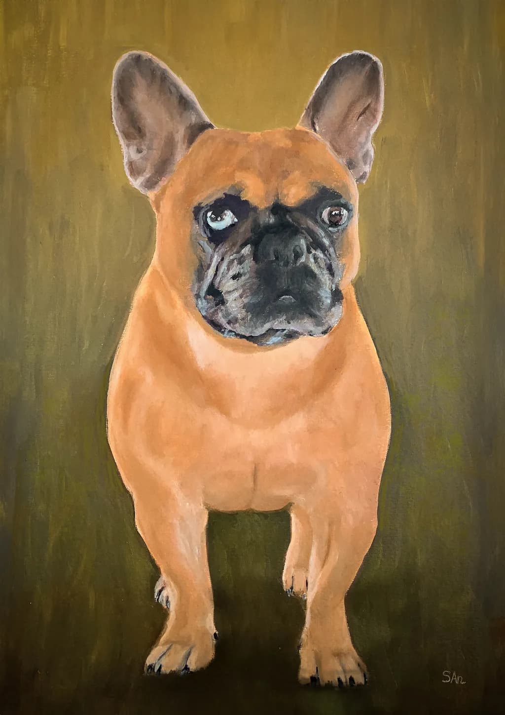 Frank the Bulldog