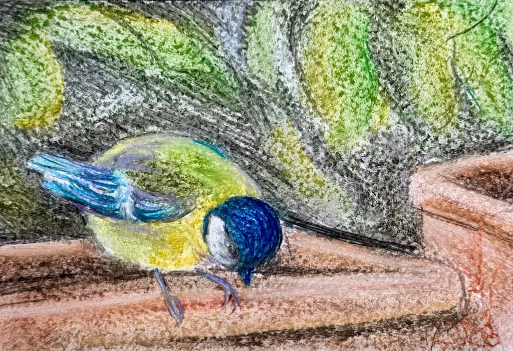 Perched Bird Study