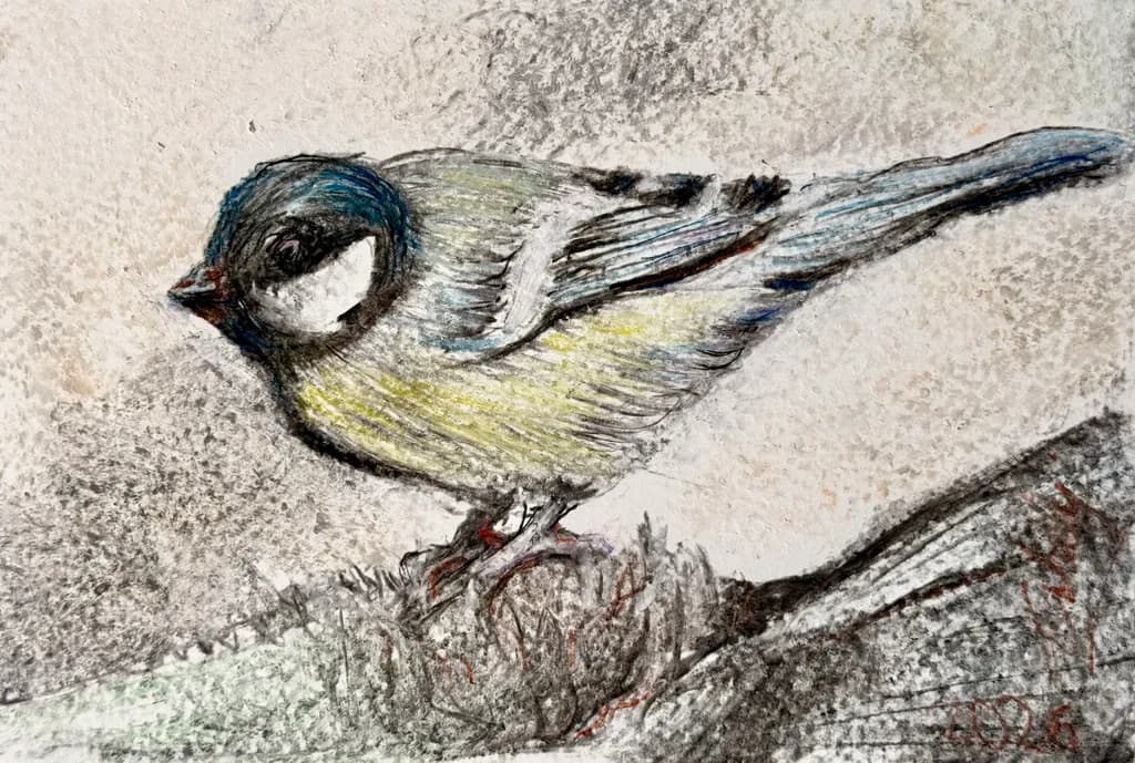 Perched Bird Sketch