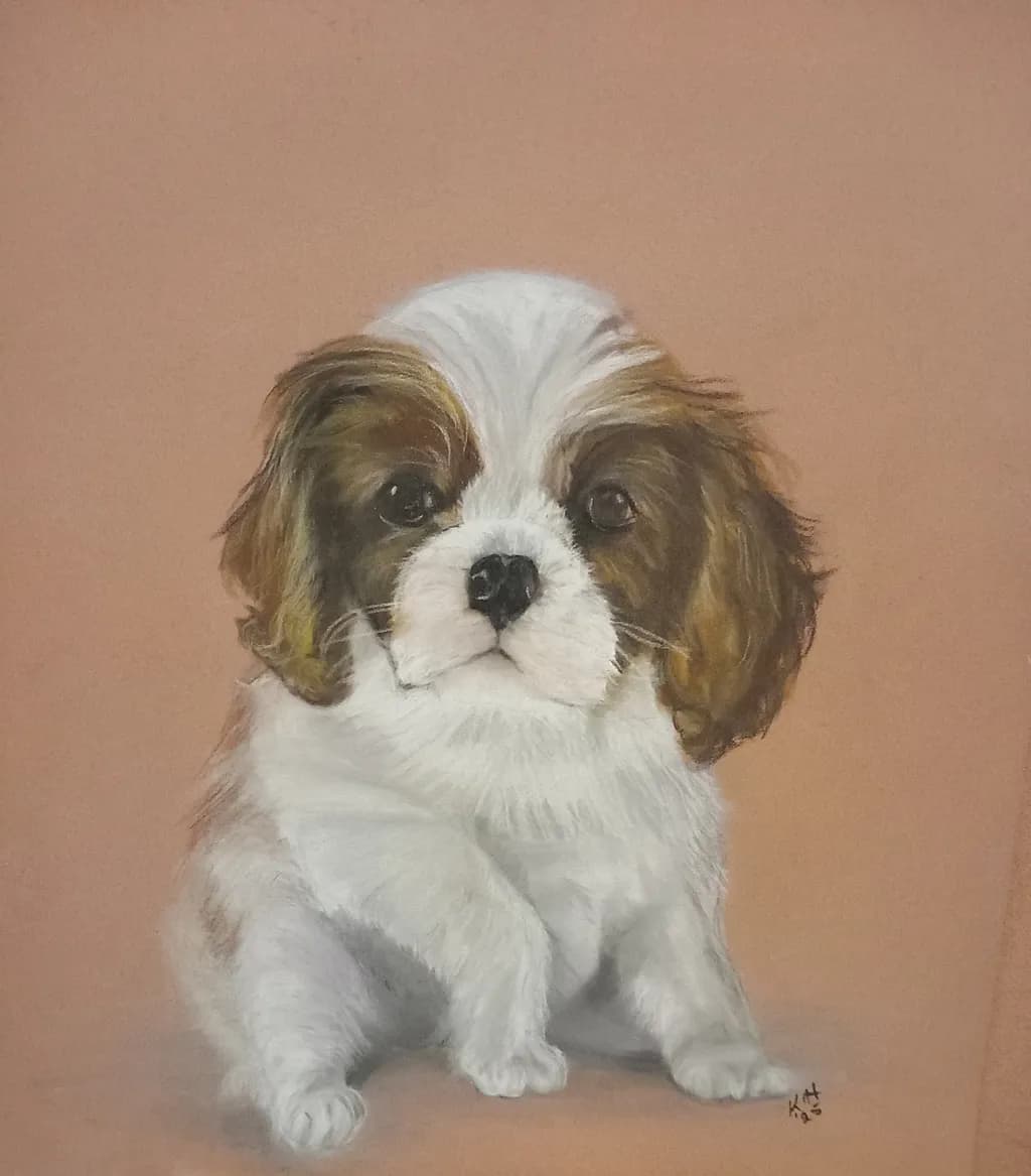 Gentle Pup Portrait
