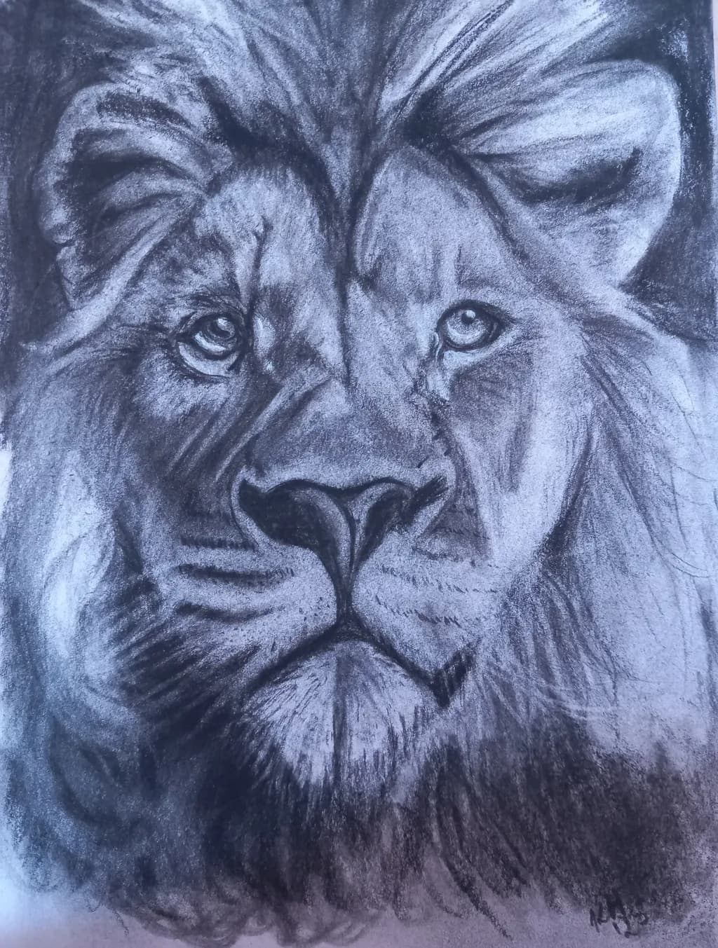 Majestic Gaze