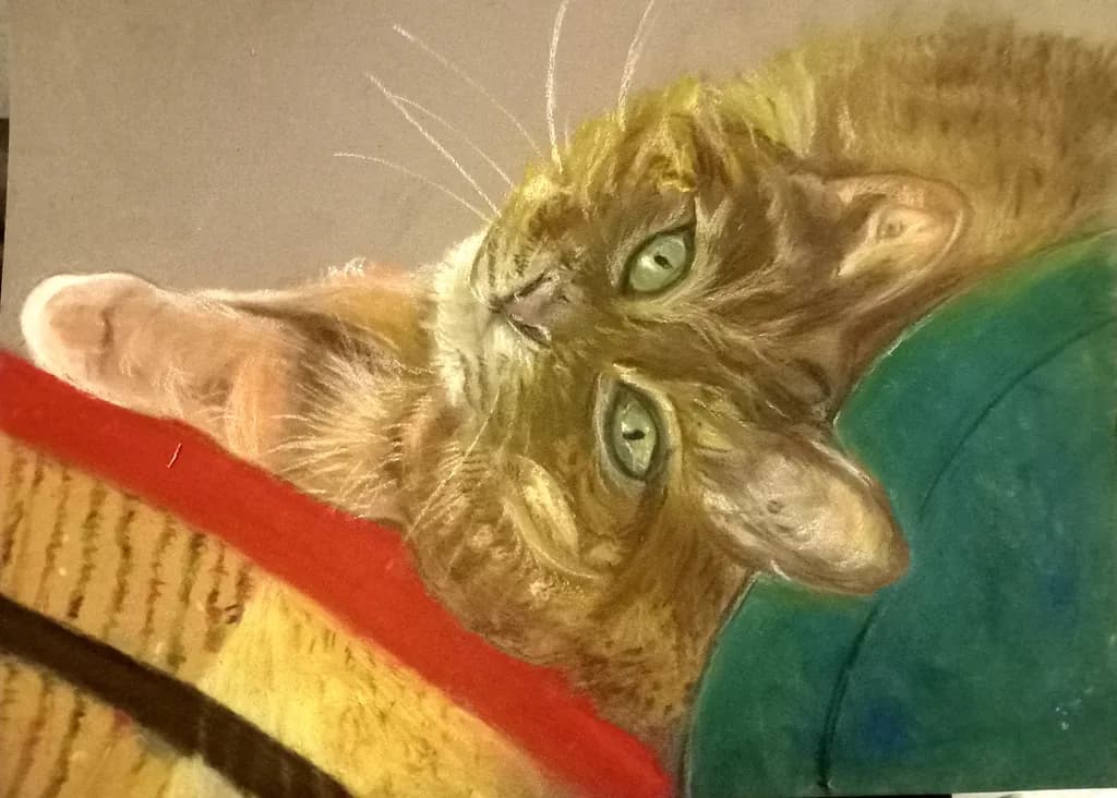 Languid Gaze