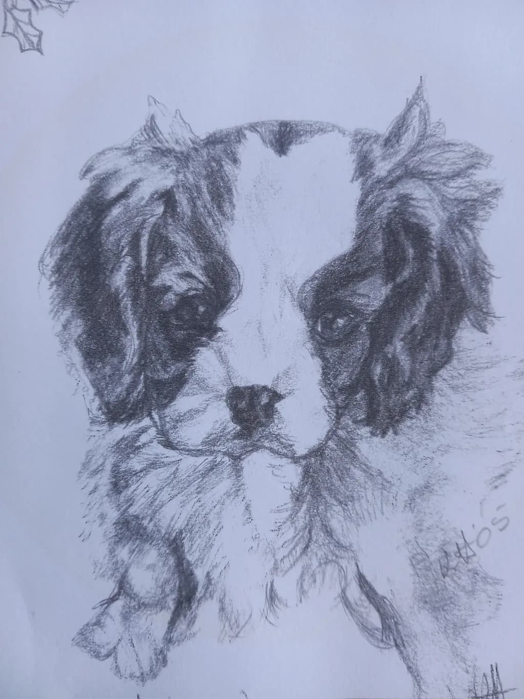 Gentle Pup