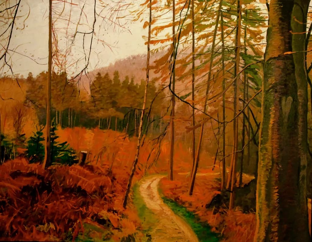 Autumn Forest Path