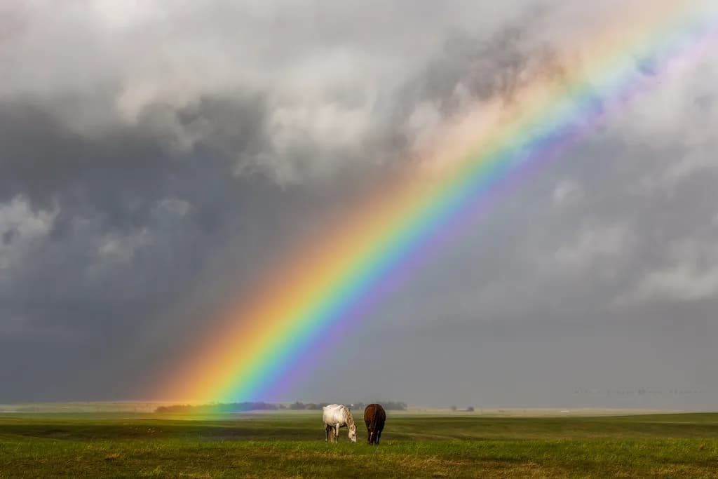 Rainbow Pasture
