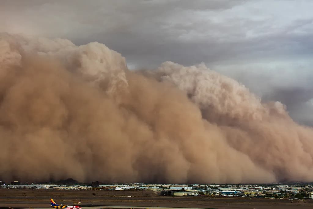 Haboob Chaos