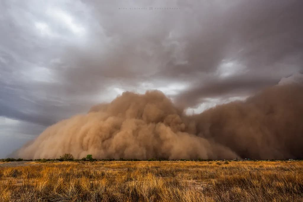 Dust Storm Fury