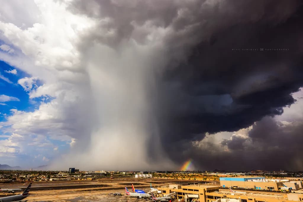 Storm's Embrace