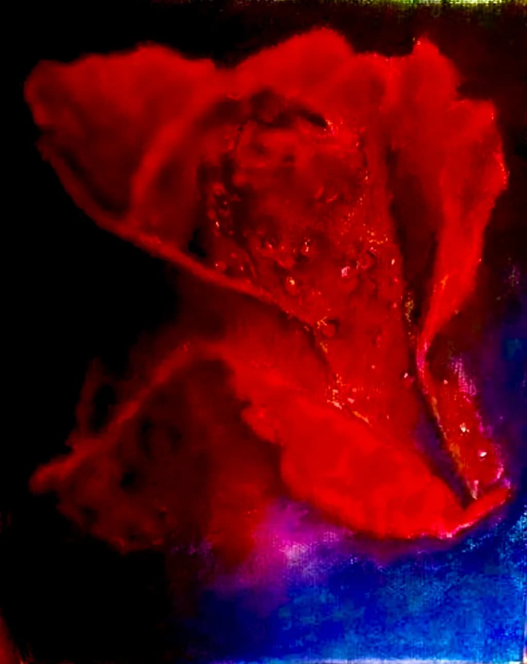 Crimson Bloom
